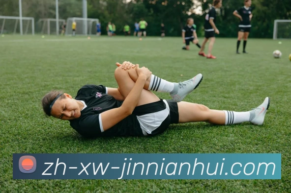 金年会体育平台生态图