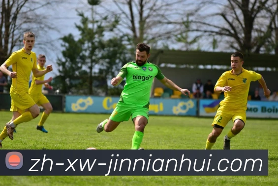 金年会体育APP 封面图